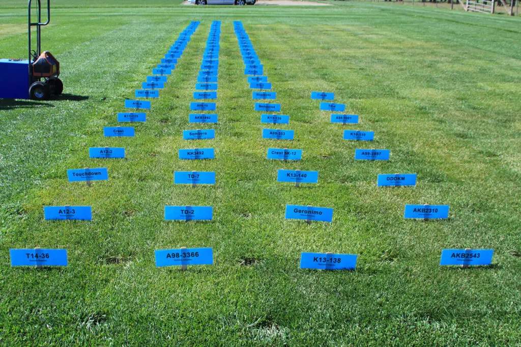 Twca Qualification & Trialing Parameter