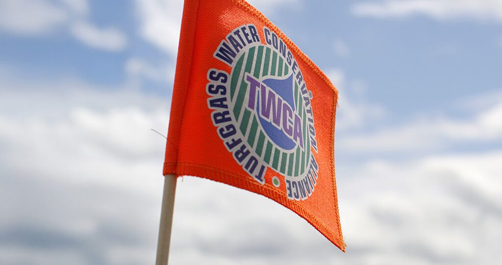 TWCA Qualified Grass